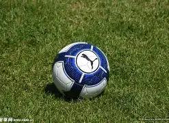 体育全站体,育平台,资讯,开云体育,开云体育官网,开云体育app,开云体育平台,KAIYUN,SPORTS,kaiyun登录入口