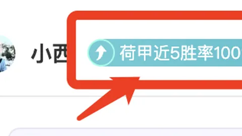 2002年国足巅峰对决巴西，实力惊艳，瓦刀倾赞！